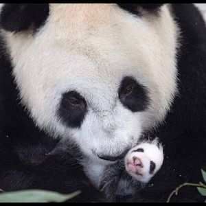 Meet your Posher, Cheryl